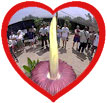 Corpse Flower